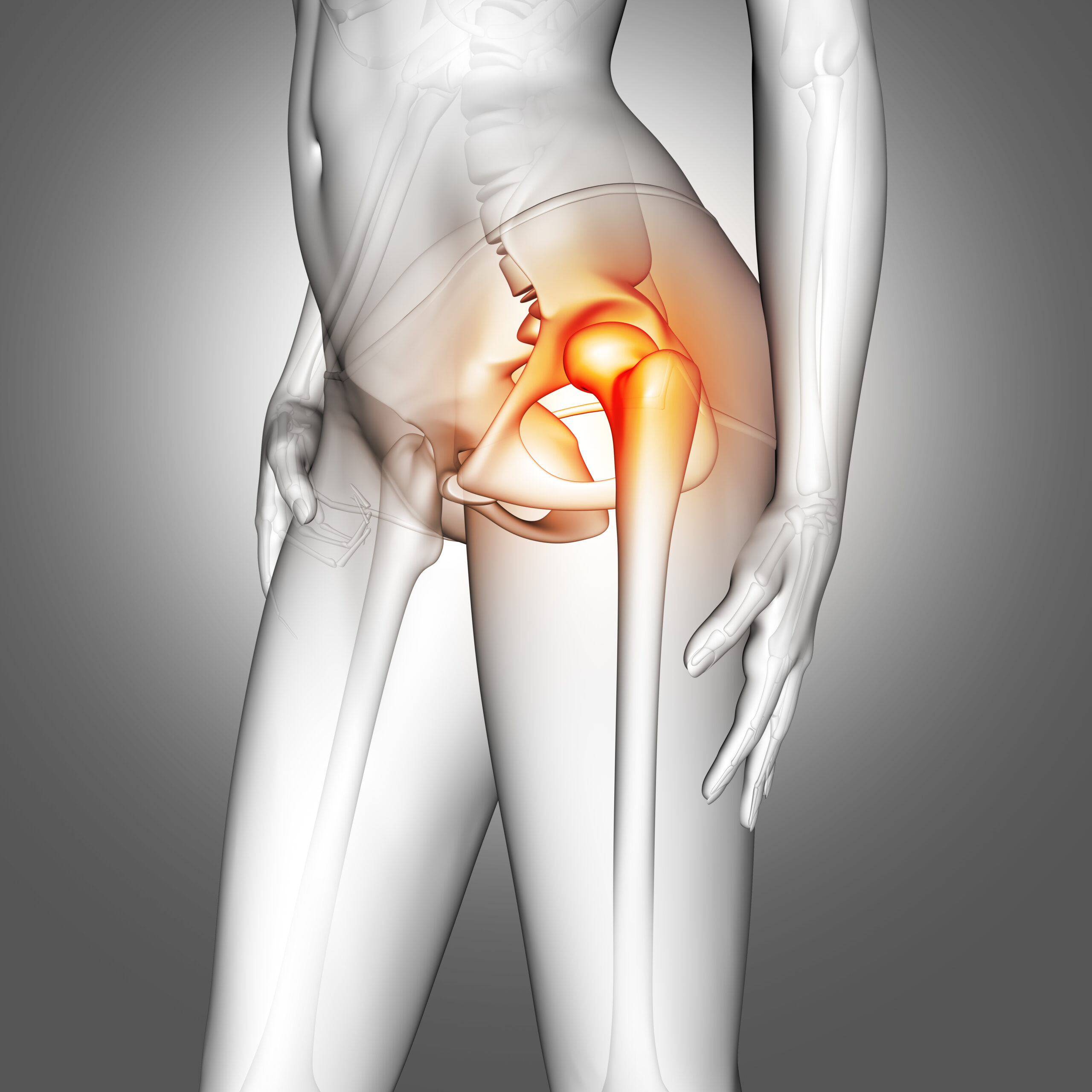 3d female medical figure with hip bone highlighted scaled